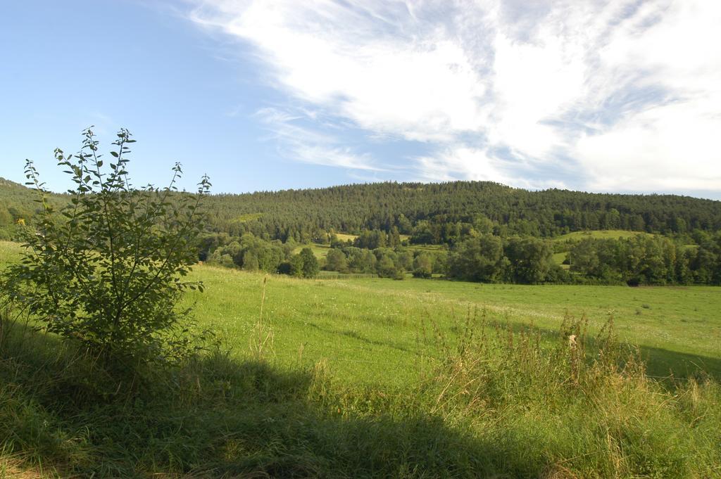 Ferienanlage Reinsberger Dorf Plaue  Eksteriør billede